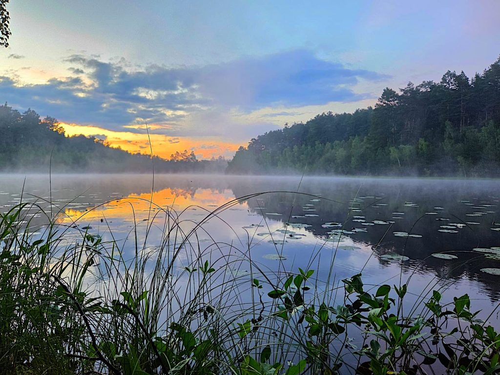 Brodnicki Park Krajobrazowy o wschodzie słońca nad jeziorem