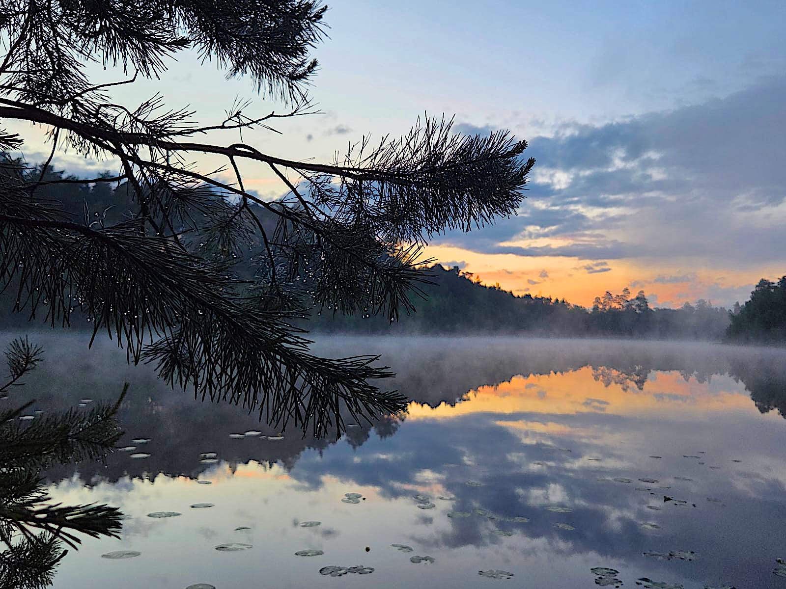 Brodnicki Park Krajobrazowy – piękno natury na wyciągnięcie ręki